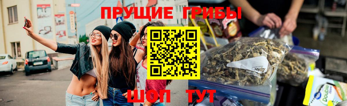 Галлюциногенные грибы Cubensis Санкт-Петербург